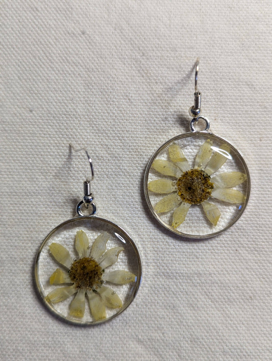 Daisy Round Earrings