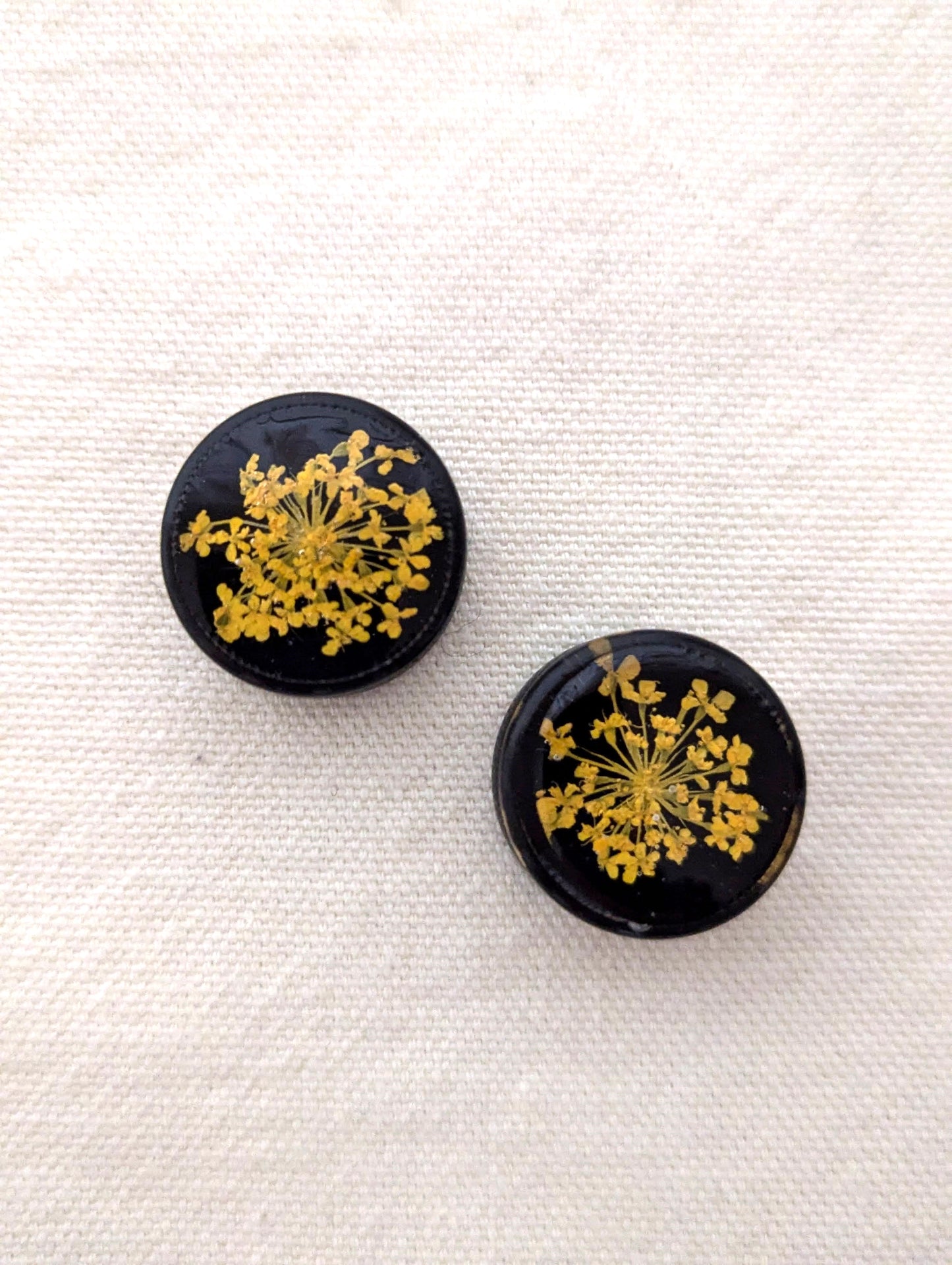 Orange Queen Anne's Lace & Black 20mm/0.79in Ear Plugs/Gauge